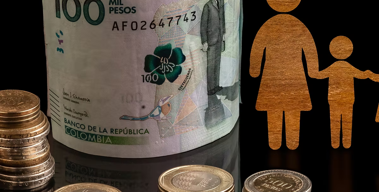 Nueva demanda de nulidad ante el Consejo de Estado contra el incremento del salario mínimo